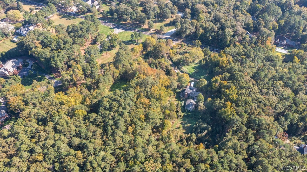 12310 River Road Henrico, VA 23238 - Photo 8 of 10 a close up of a tree
