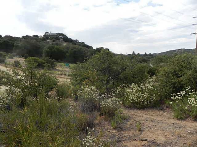 104 Boulder Creek Road Descanso, CA 91916 - Photo 2 of 5 corner of Burrell way and Deer Valley Trail