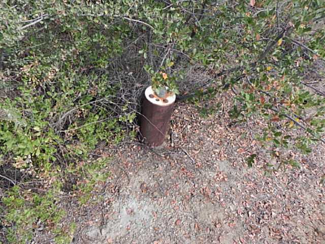104 Boulder Creek Road Descanso, CA 91916 - Photo 5 of 5 Drilled and capped well. 600', 5gpm