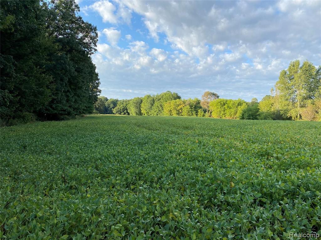 V/l North Nicholson Road Fowlerville, MI 48836 - Photo 10 of 14