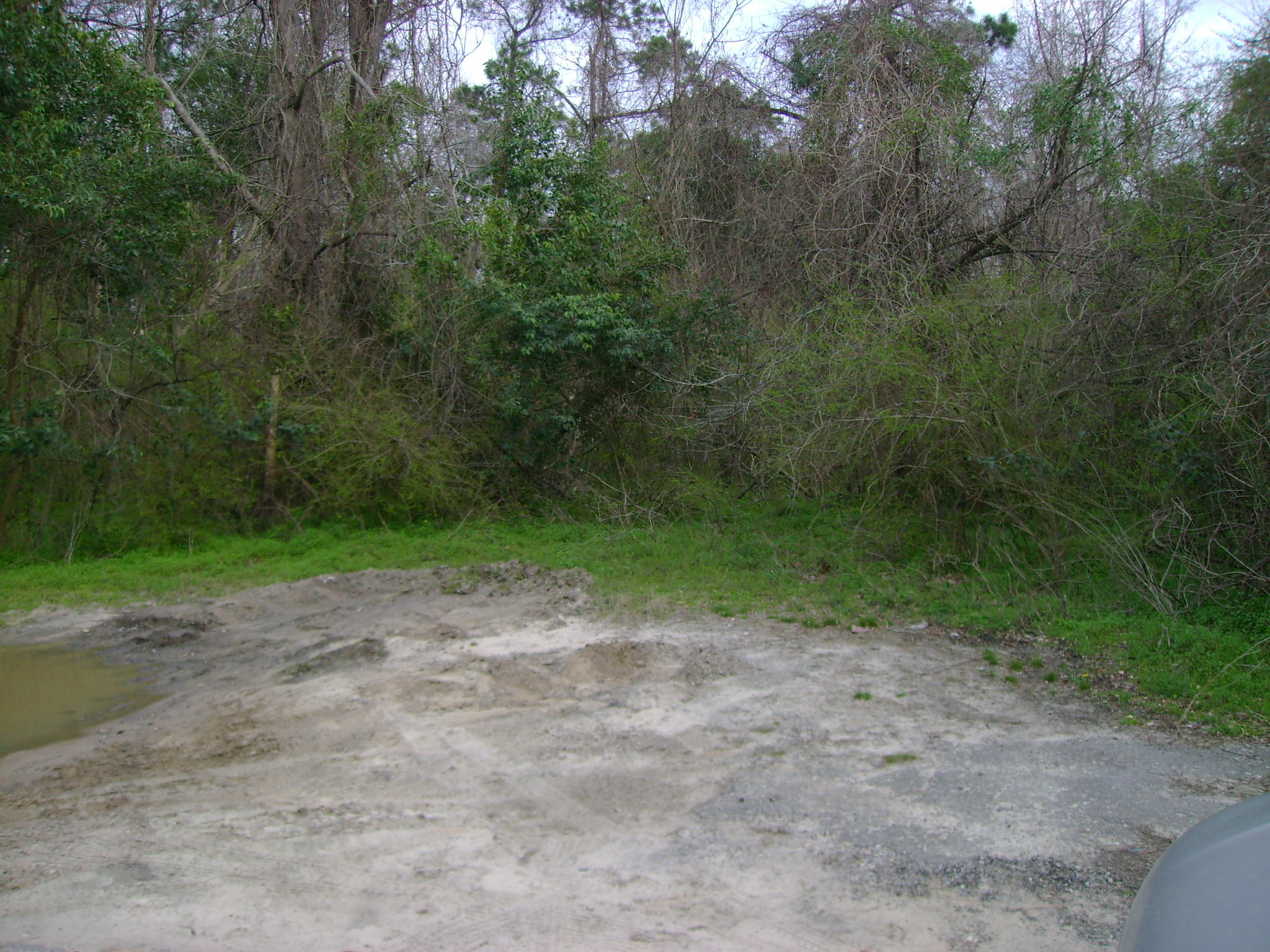 1 Mitton Road Moncks Corner, SC 29461 - Photo 1 of 1 DSC01313