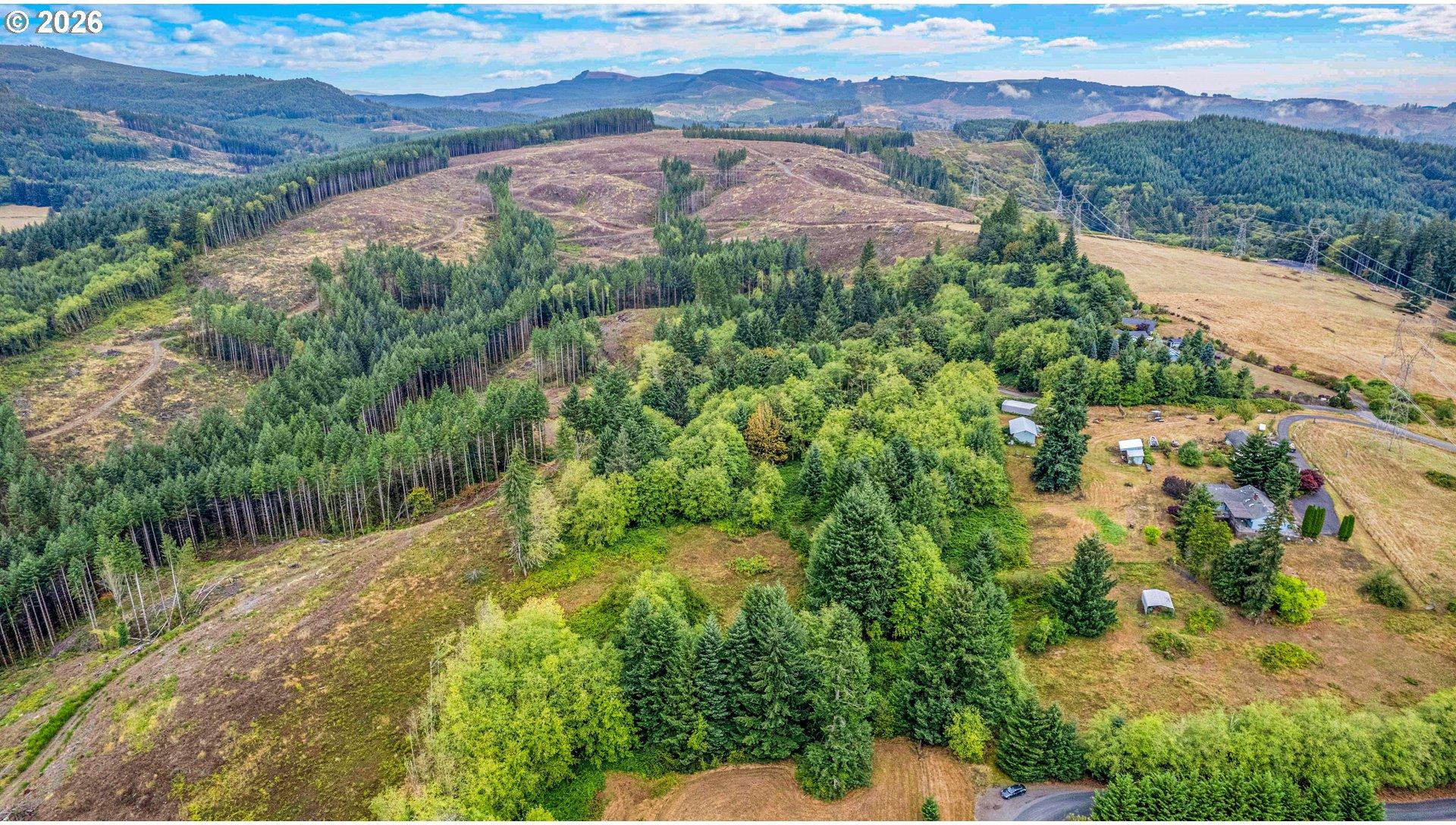 176 Flyaway Road Castle Rock, WA 98611 - Photo 18 of 22 Gallery Image 18