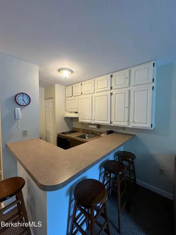 a living room with furniture a rug and a potted plant