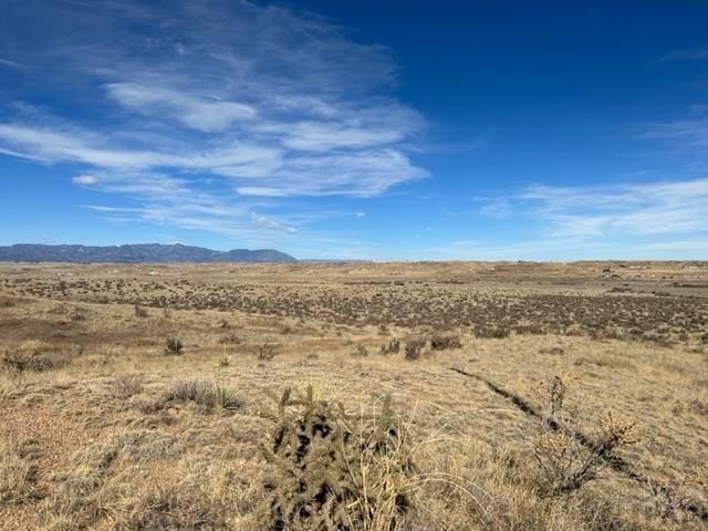 5331 Salt Cedar Road Fountain, CO 80817 - Photo 3 of 12