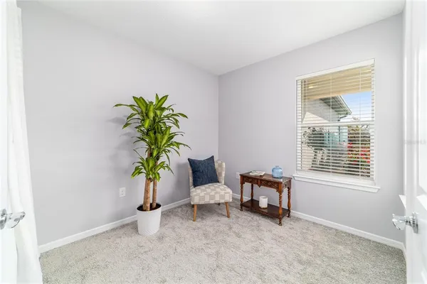 a living room with furniture and a potted plant