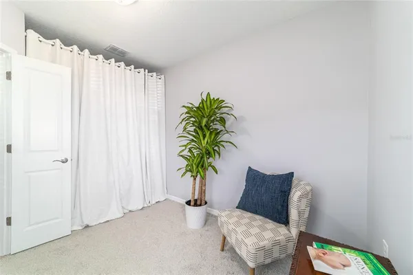 a living room with furniture and a potted plant