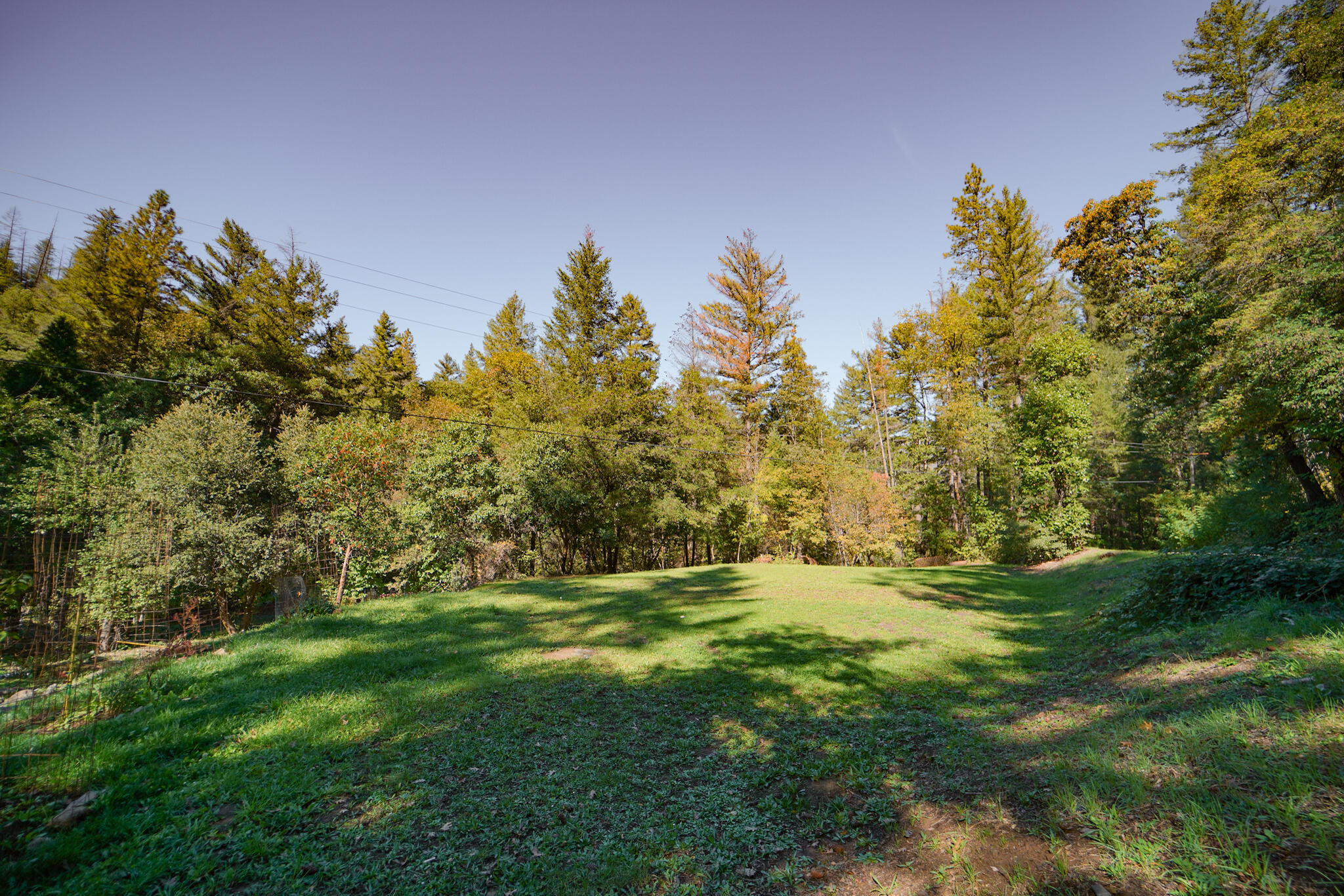 420 Price Creek Road Big Bar, CA 96010 - Photo 61 of 63 meadow