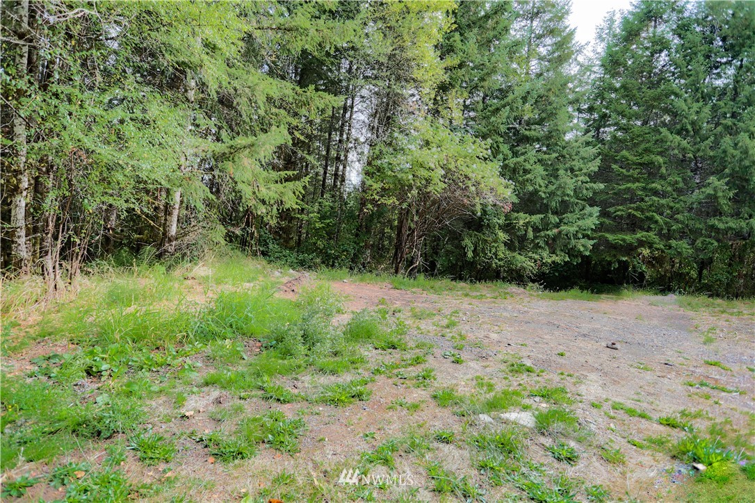 1763 Bunker Creek Road Chehalis, WA 98532 - Photo 5 of 40 a view of outdoor space and yard