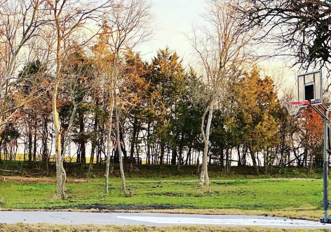 4085 Nicholson Lake Road Chappell Hill, TX 77426 - Photo 18 of 20