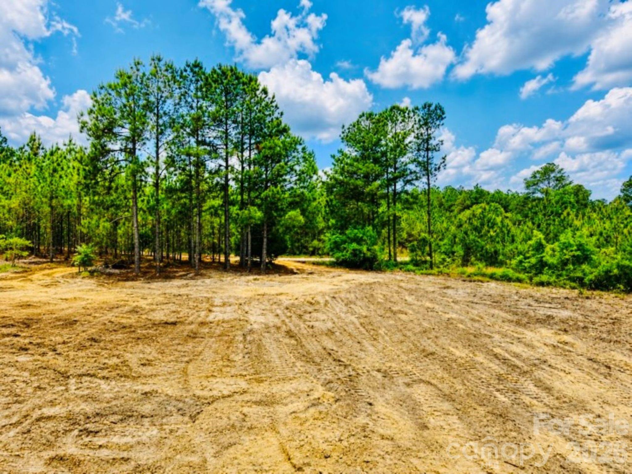 231 J C Barefoot Road Patrick, SC 29584 - Photo 3 of 9 a view of swimming pool with an outdoor space