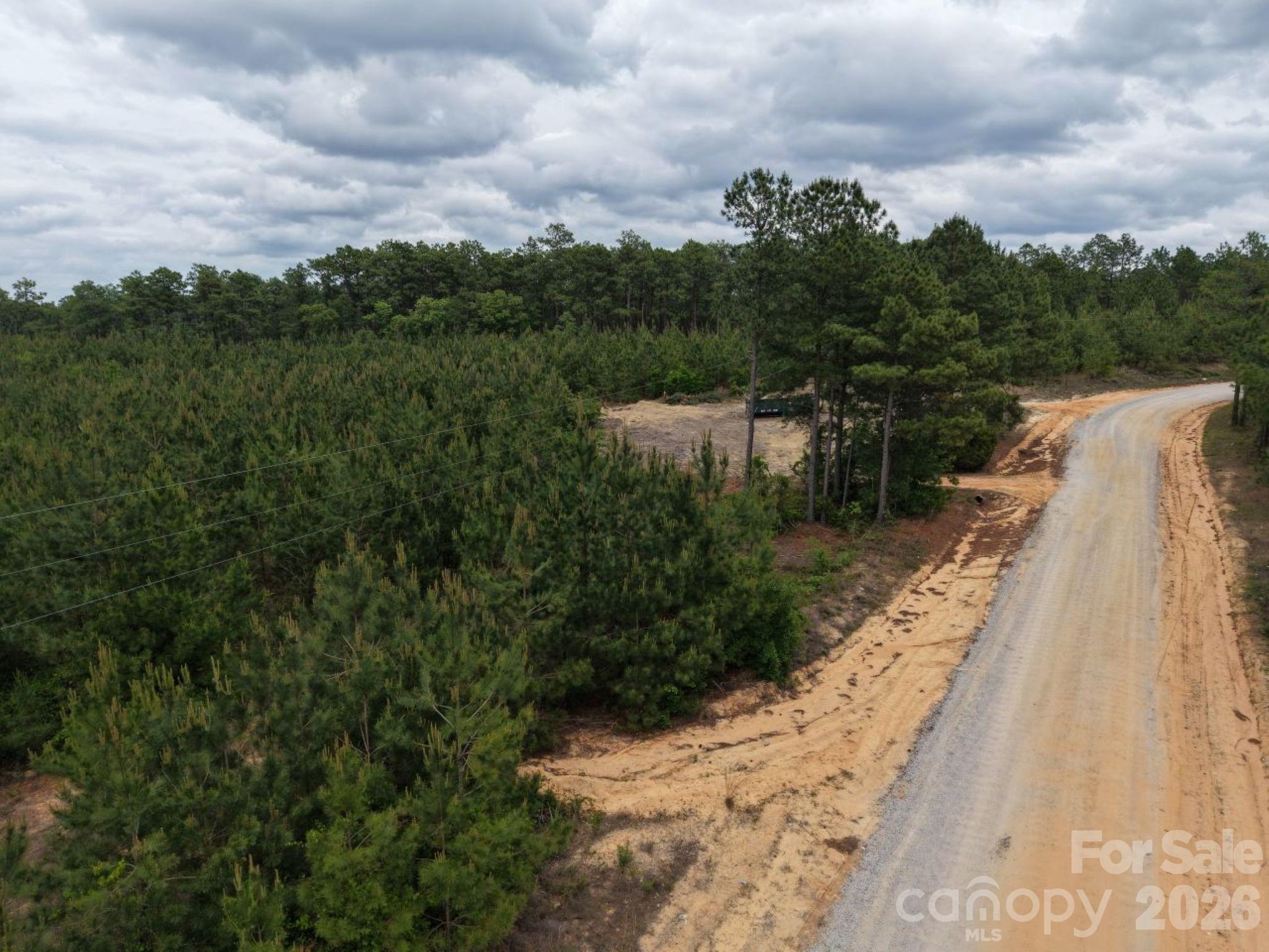 231 J C Barefoot Road Patrick, SC 29584 - Photo 4 of 9 a view of a lake from a balcony
