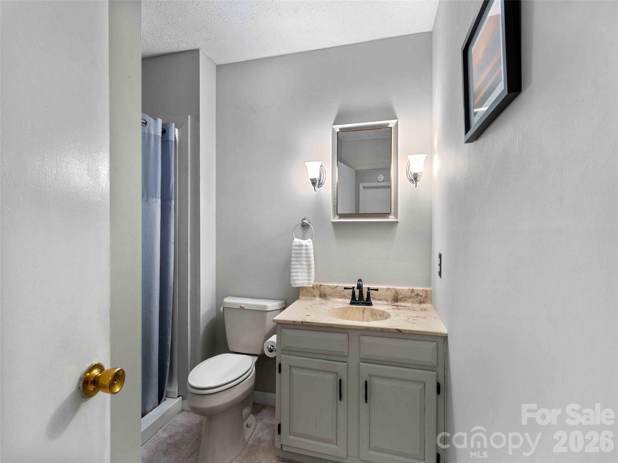 193 Freedom Road Hendersonville, NC 28792 - Photo 15 of 22 a bathroom with a sink toilet and mirror