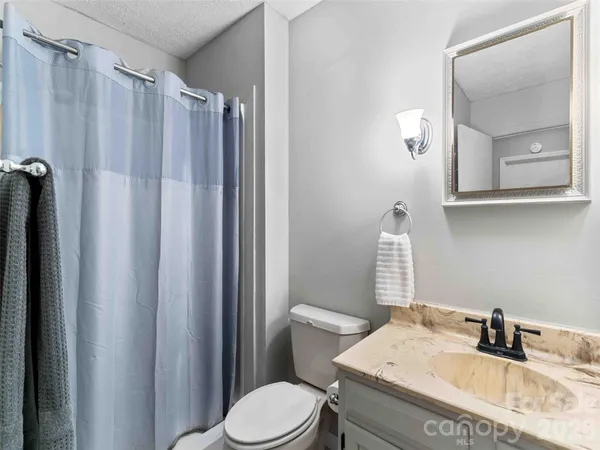 a bathroom with a sink a toilet and shower curtain