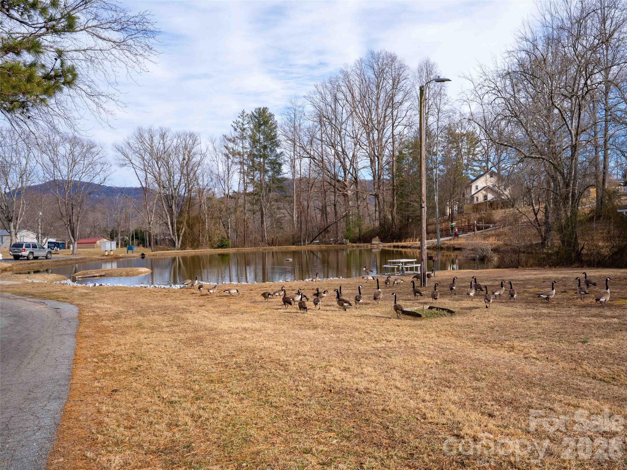 193 Freedom Road Hendersonville, NC 28792 - Photo 22 of 22 a view of a yard with a tree