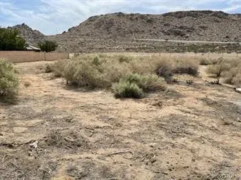 a view of a dry yard