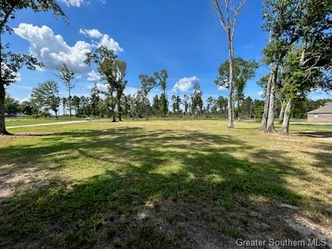 Nielson Road Kinder, LA 70648 - Photo 3 of 5 Gallery Image 3