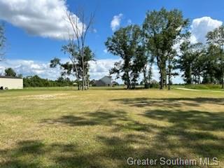 Nielson Road Kinder, LA 70648 - Photo 4 of 5 Gallery Image 4