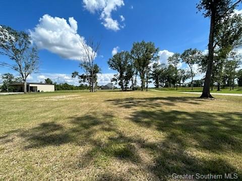 Nielson Road Kinder, LA 70648 - Photo 5 of 5 Gallery Image 5