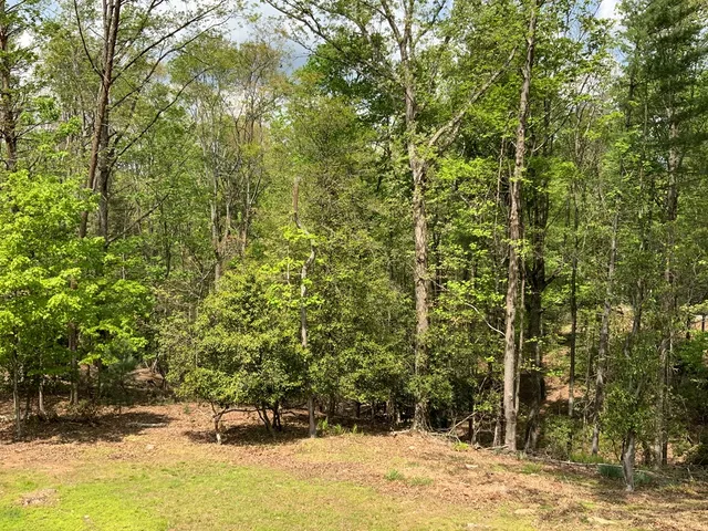 $399,000 | 426 Shenendoa Drive, Ellijay, GA 30540