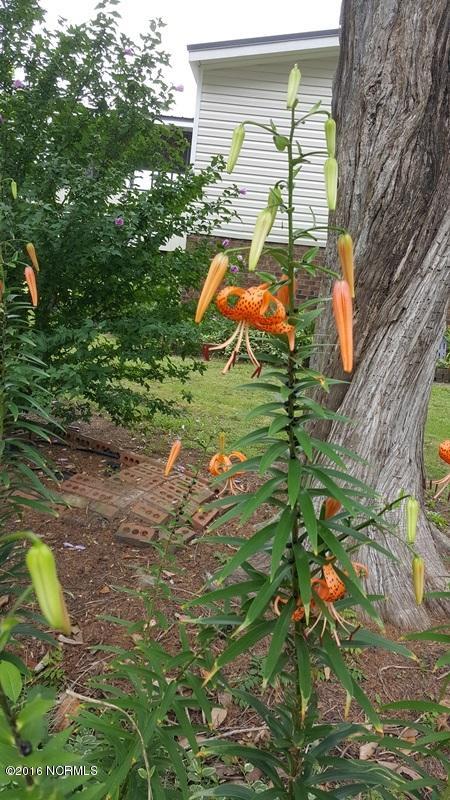 1338 Makelyville Road Scranton, NC 27875 - Photo 17 of 32 Tiger Lilies