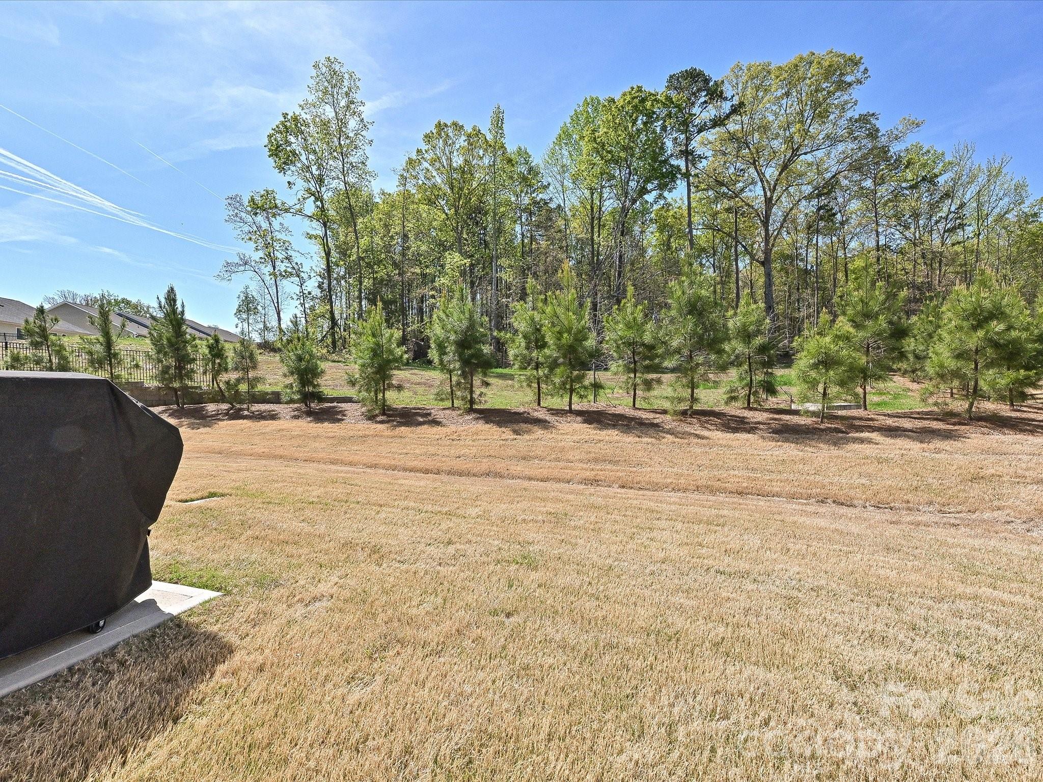 4716 Darcey Way Indian Land, SC 29707 - Photo 28 of 29