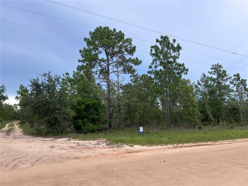 2104 Main Street Hawthorne, FL 32640 - Photo 3 of 4 a backyard of a house with lots of green space
