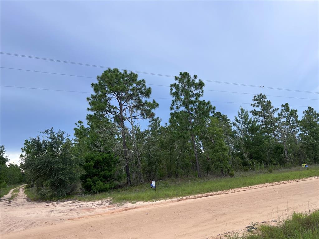 2104 Main Street Hawthorne, FL 32640 - Photo 4 of 4 a backyard of a house with lots of green space
