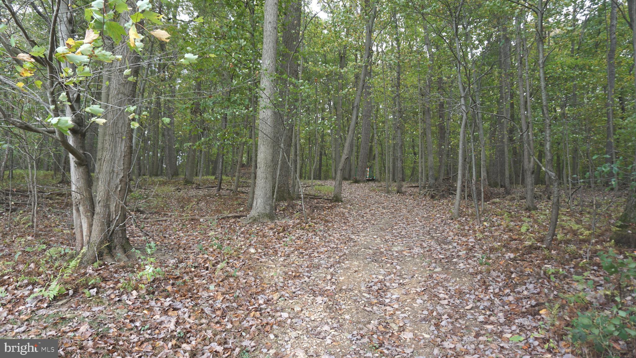 7106 Simpson Road Glen Rock, PA 17327 - Photo 40 of 42 Gallery Image 40
