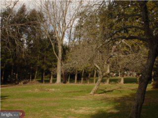 33 Sauerman Road Doylestown, PA 18901 - Photo 2 of 6