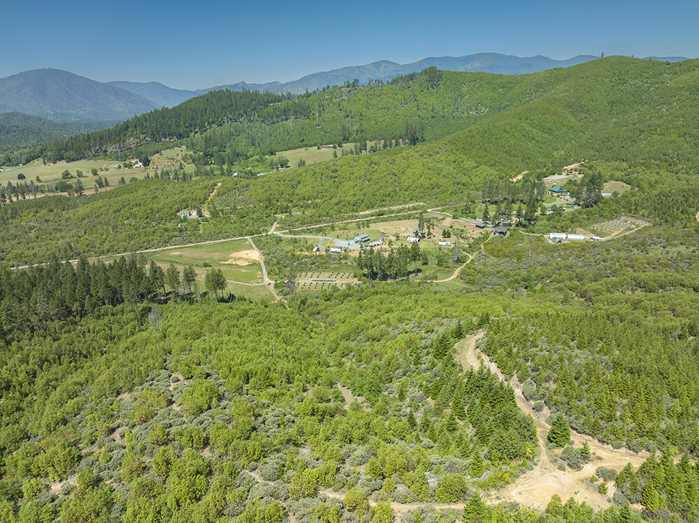 0 Deer Creek Road, Unit 700 Selma, OR 97538 - Photo 4 of 7 4