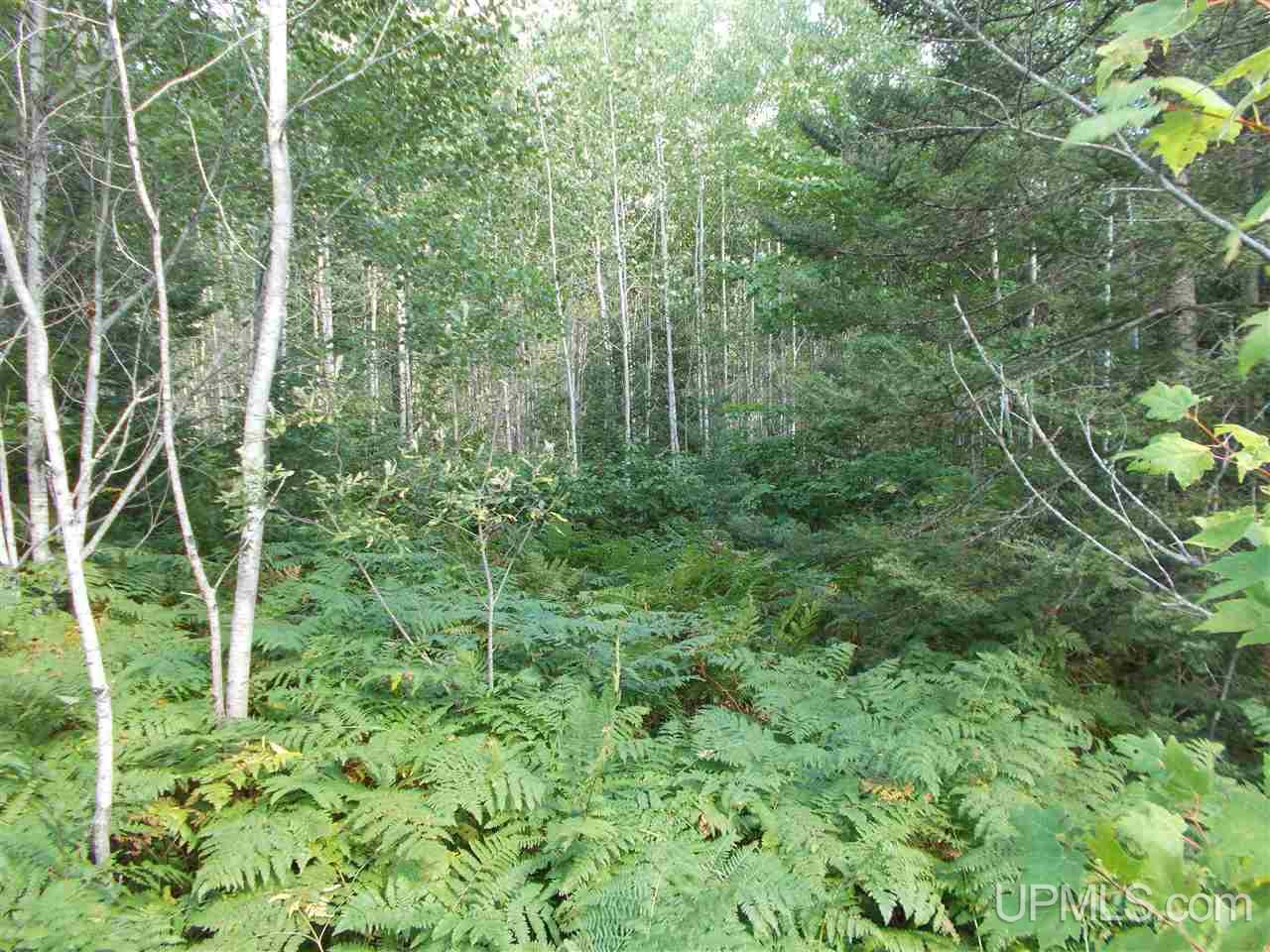 80-acres Co Rd Ffw Republic, MI 49879 - Photo 17 of 21