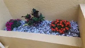 $3,000 | 2121 South Ocean Boulevard, Unit 604, Pompano Beach, FL 33062