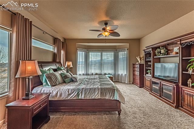 13812 Windy Oaks Road Colorado Springs, CO 80921 - Photo 21 of 50 Carpeted bedroom with a ceiling fan and a textured ceiling