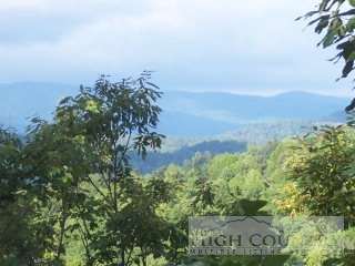 171 Blue Rock Road Purlear, NC 28665 - Photo 1 of 1 a view of a field
