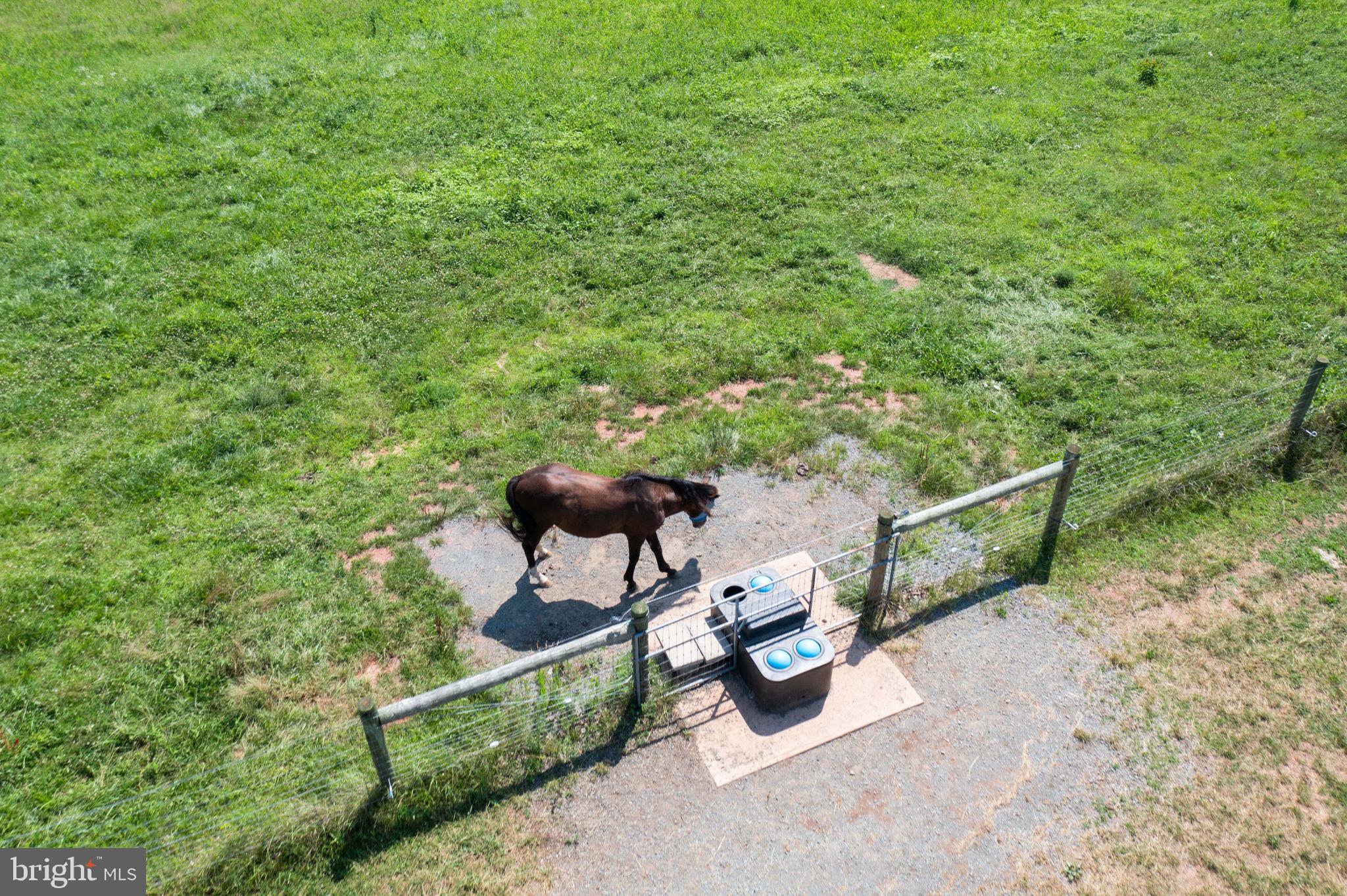 11997 Bristersburg Road Midland, VA 22728 - Photo 15 of 38 a view of a bench in a backyard