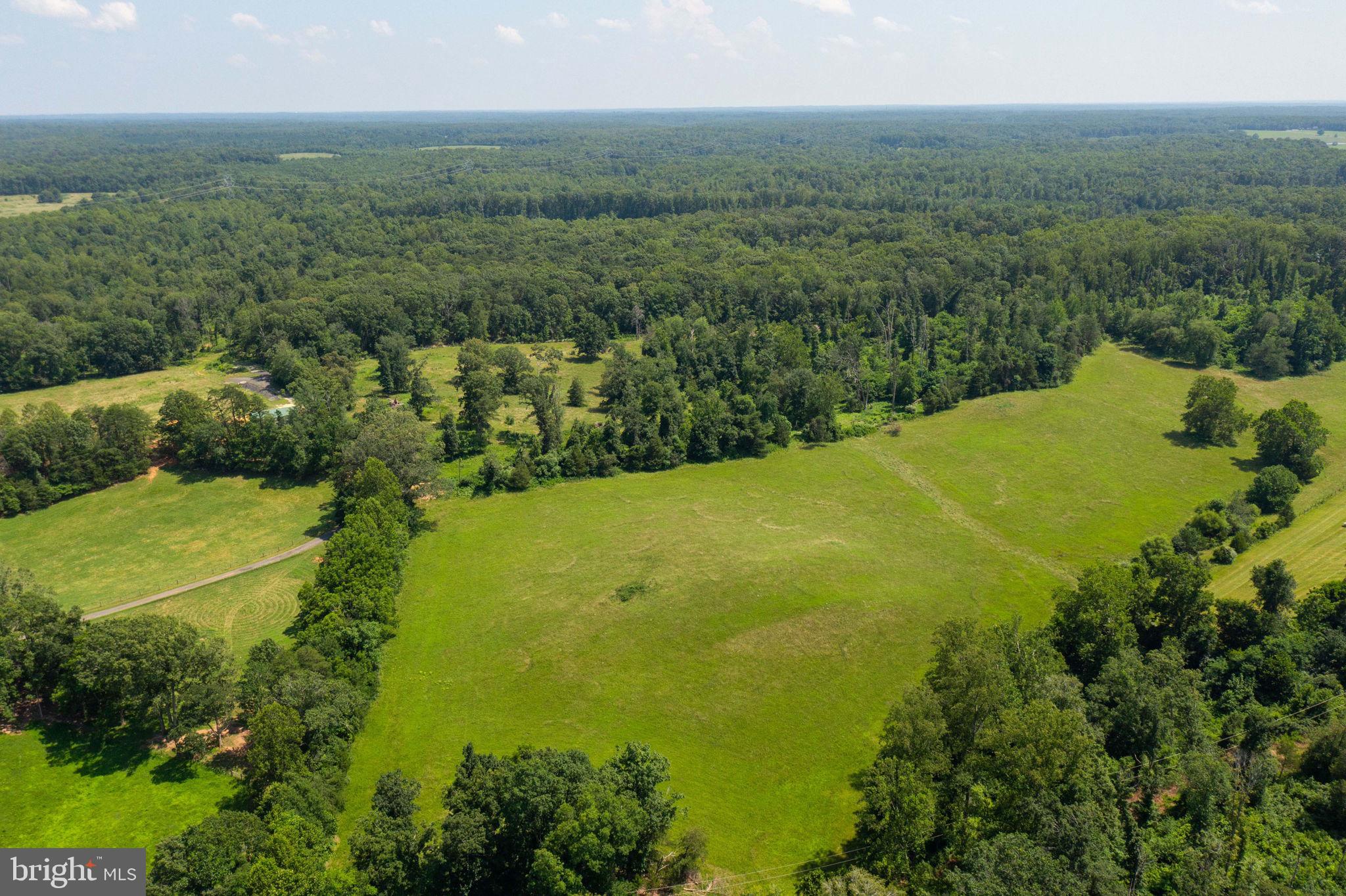 11997 Bristersburg Road Midland, VA 22728 - Photo 26 of 38 a view of a large trees with flower garden