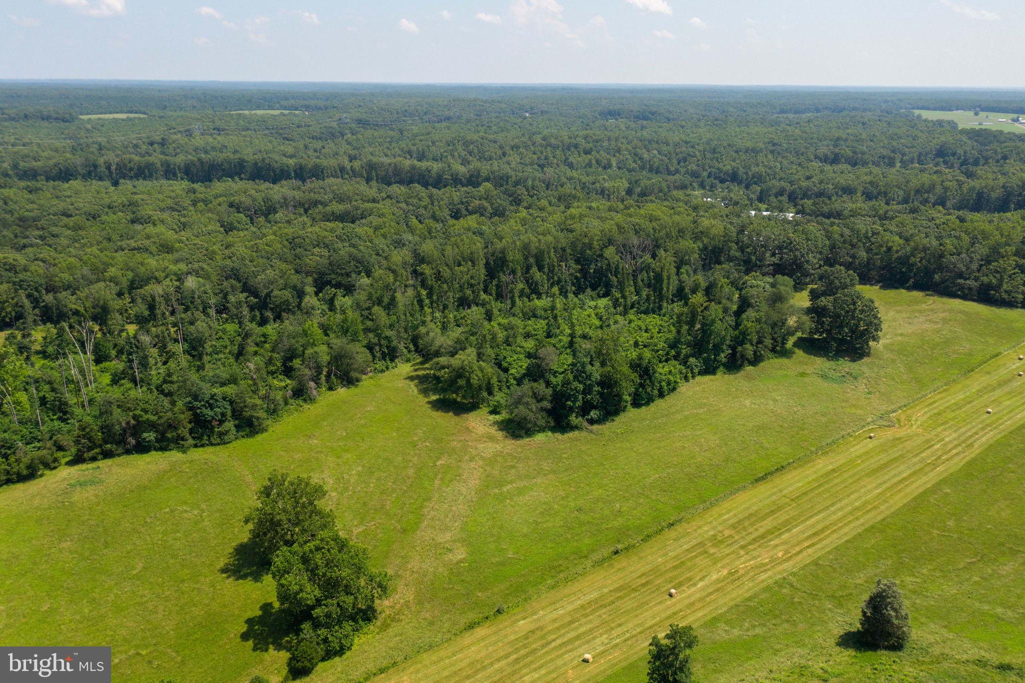 11997 Bristersburg Road Midland, VA 22728 - Photo 27 of 38 a view of a large yard with lots of green space