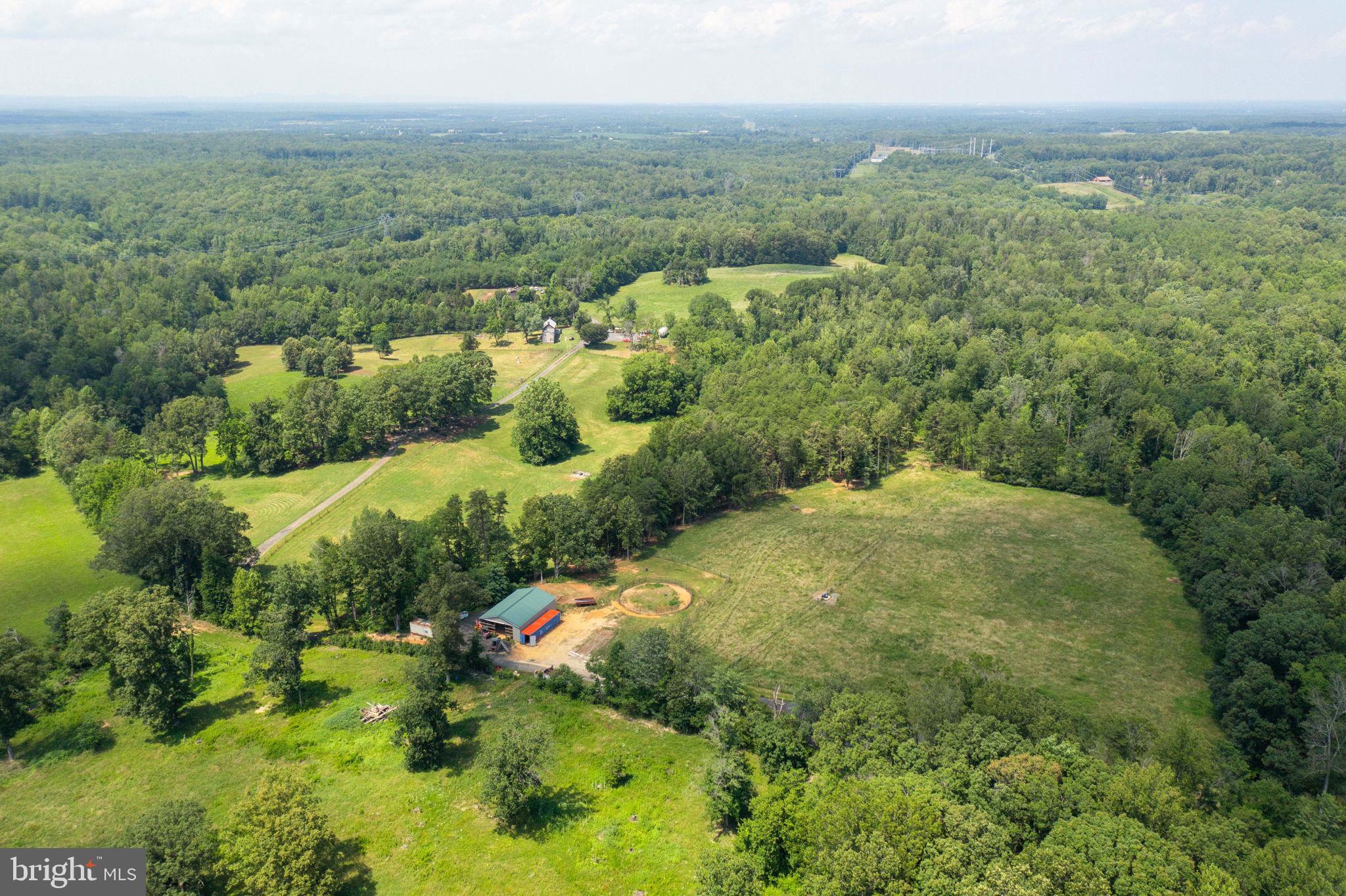 11997 Bristersburg Road Midland, VA 22728 - Photo 30 of 38 a view of a green yard with large trees