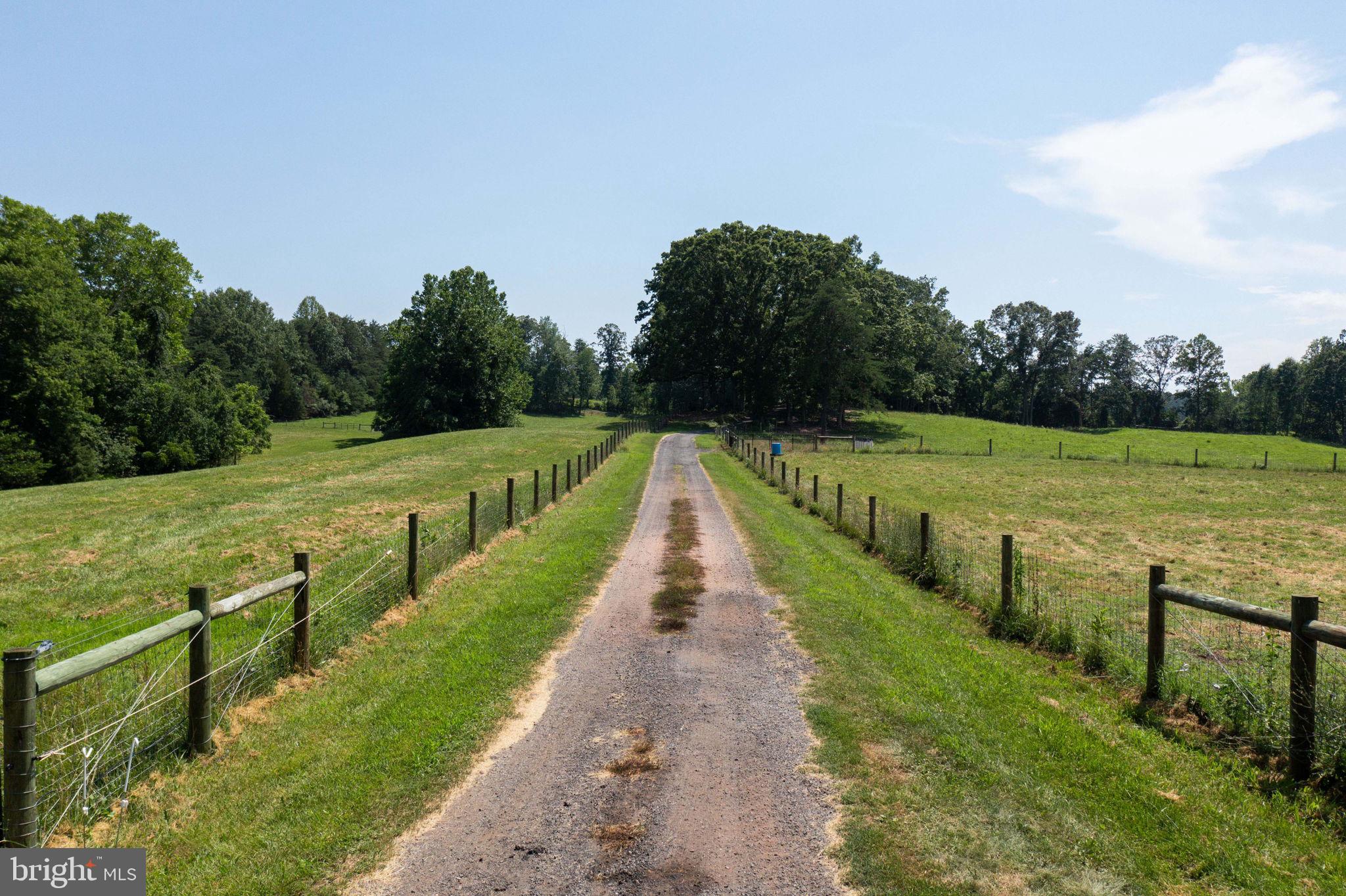 11997 Bristersburg Road Midland, VA 22728 - Photo 37 of 38 a view of a park with large trees