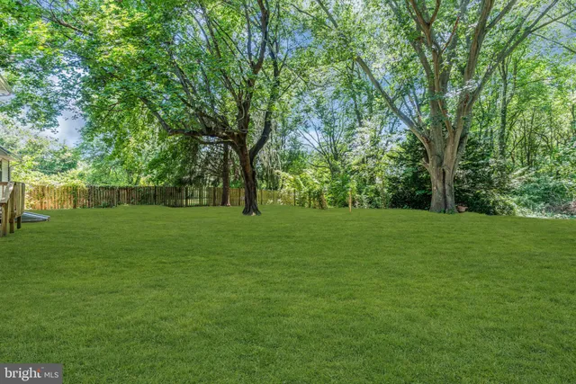 a view of a house with a tree in a yard