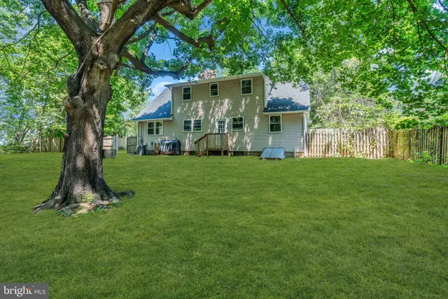 a view of garden with trees