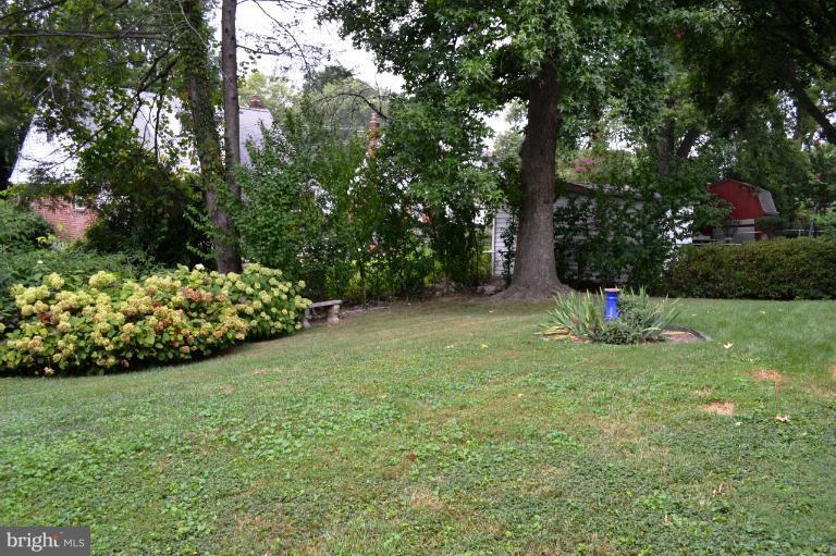 12702 Feldon Street Silver Spring, MD 20906 - Photo 1 of 11 a view of a garden with a tree