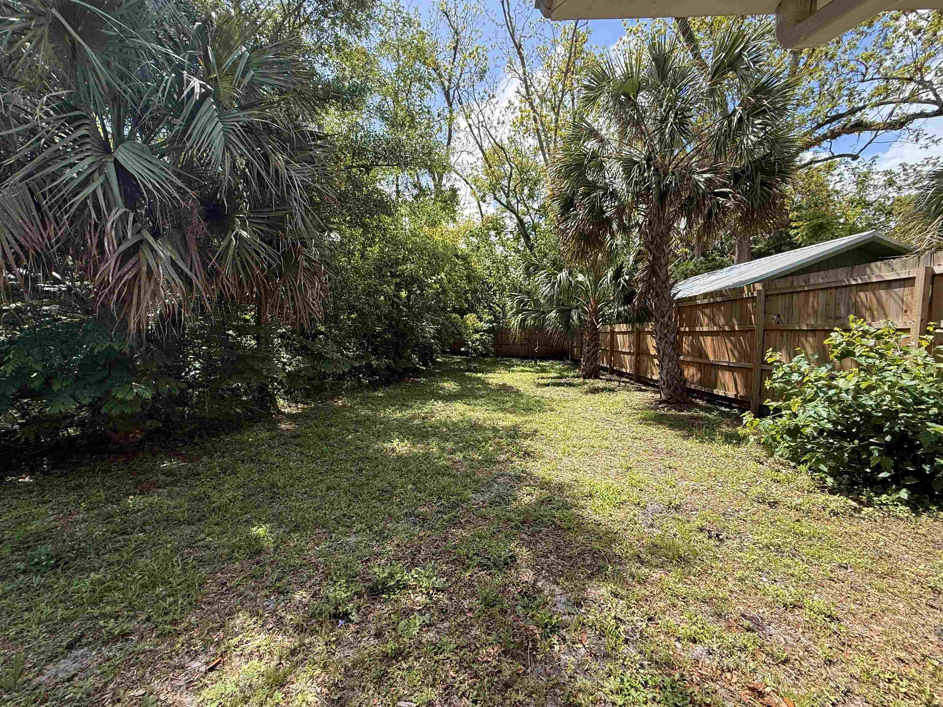 521 Christopher Street St. Augustine, FL 32084 - Photo 15 of 17 a backyard of a house with lots of green space