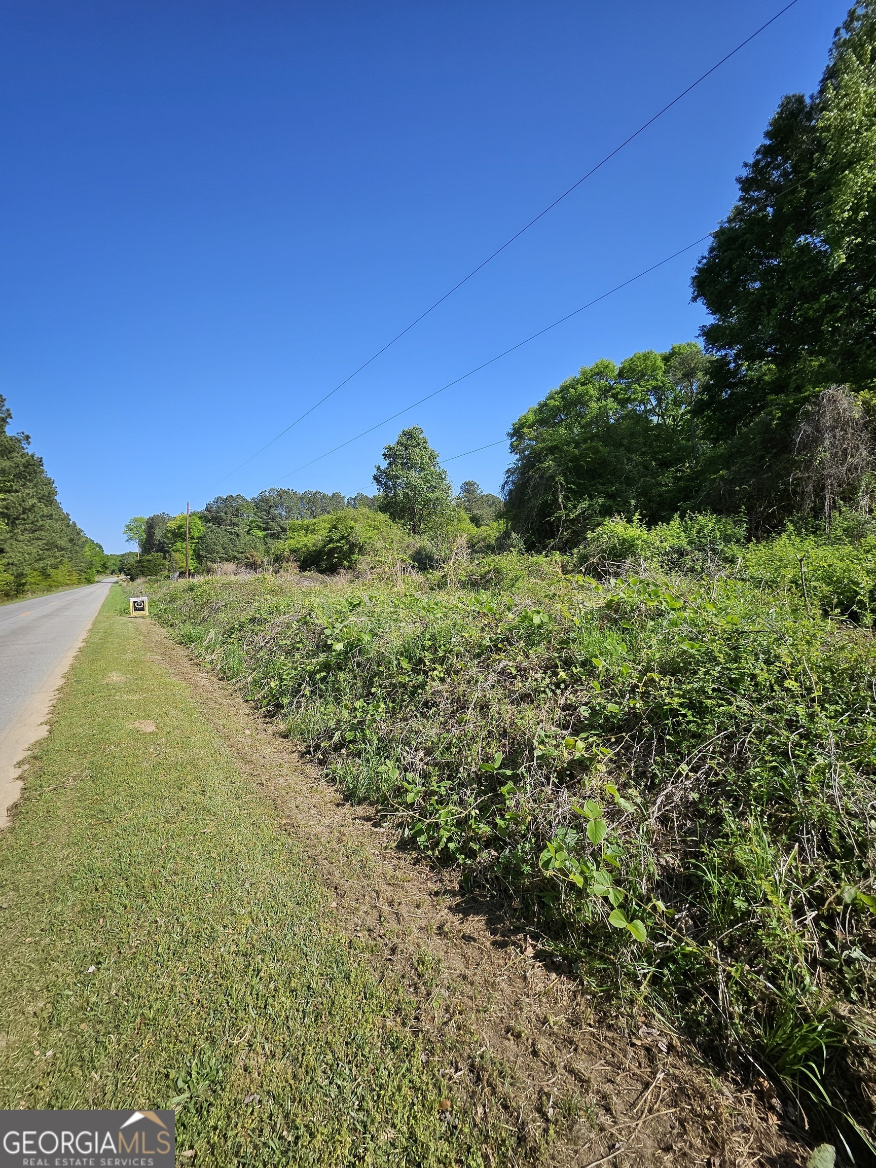 0 Dixie West Highway Rutledge, GA 30663 - Photo 5 of 8