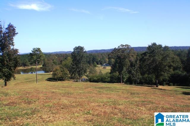 1785 Nunnally Lake Road Ohatchee, AL 36271 - Photo 50 of 50