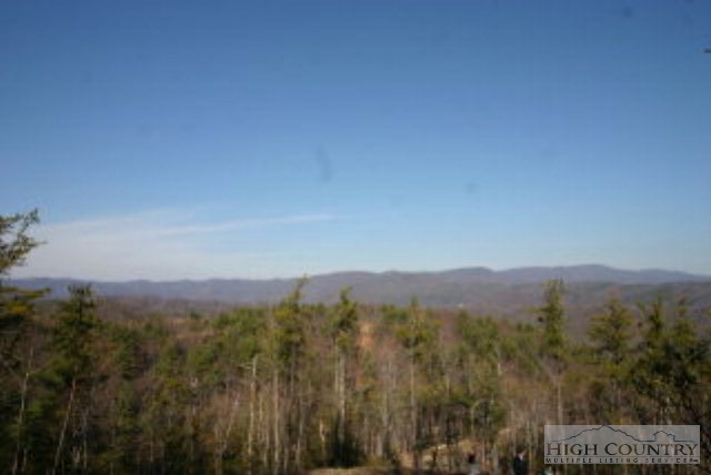 Lot 177 Marigold Road Boone, NC 28607 - Photo 1 of 1 a view of a city with lush green forest