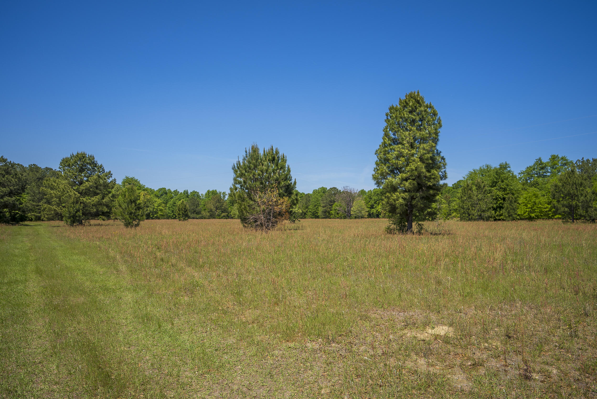 246 Stonemint Drive Springfield, SC 29146 - Photo 38 of 45