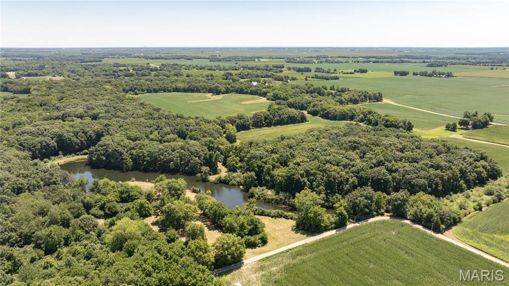 9368 Rhea Park Road Loami, IL 62661 - Photo 1 of 54