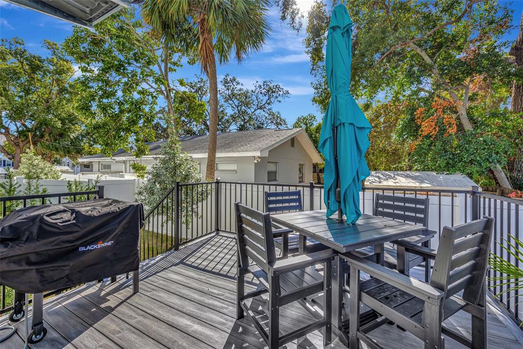 331 Albert Street Dunedin, FL 34698 - Photo 61 of 64