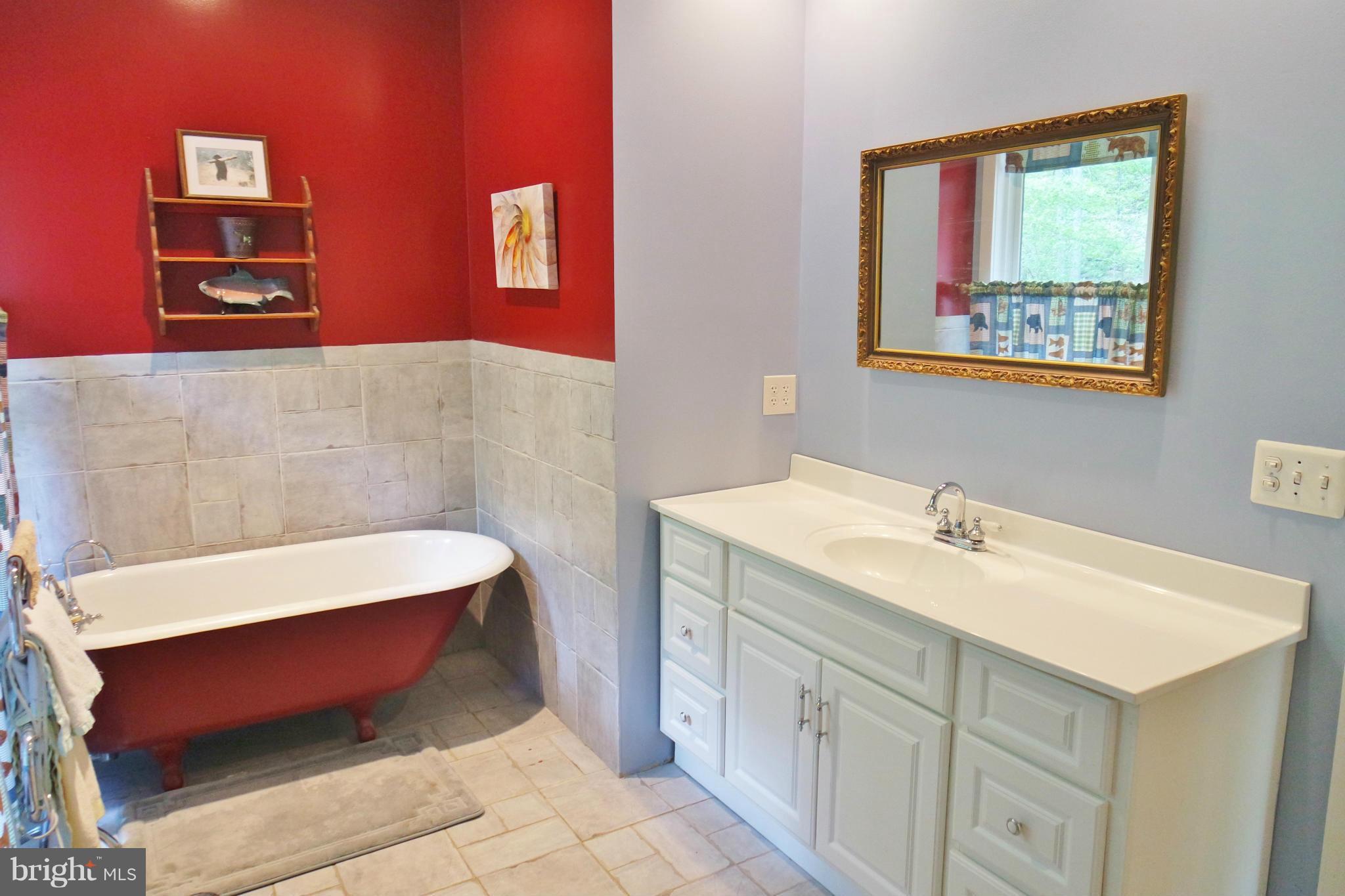 974 North Maple Road Mount Jackson, VA 22842 - Photo 20 of 30 a bathroom with a sink and a mirror